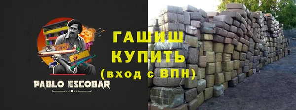 тгк Гусев