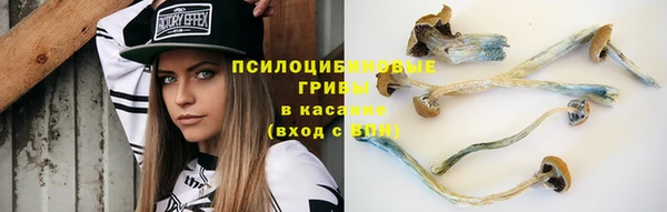 а пвп мука Горнозаводск