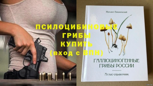 мдма Горняк